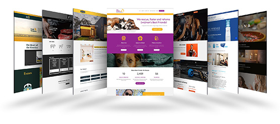 web design